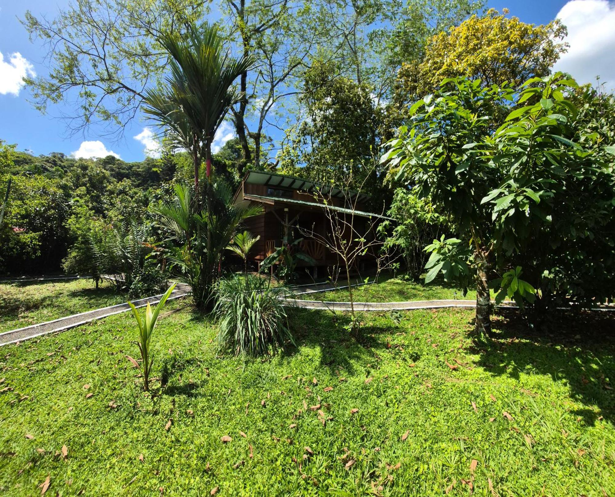 Centro Ananda Bed & Breakfast Guapiles Exterior photo
