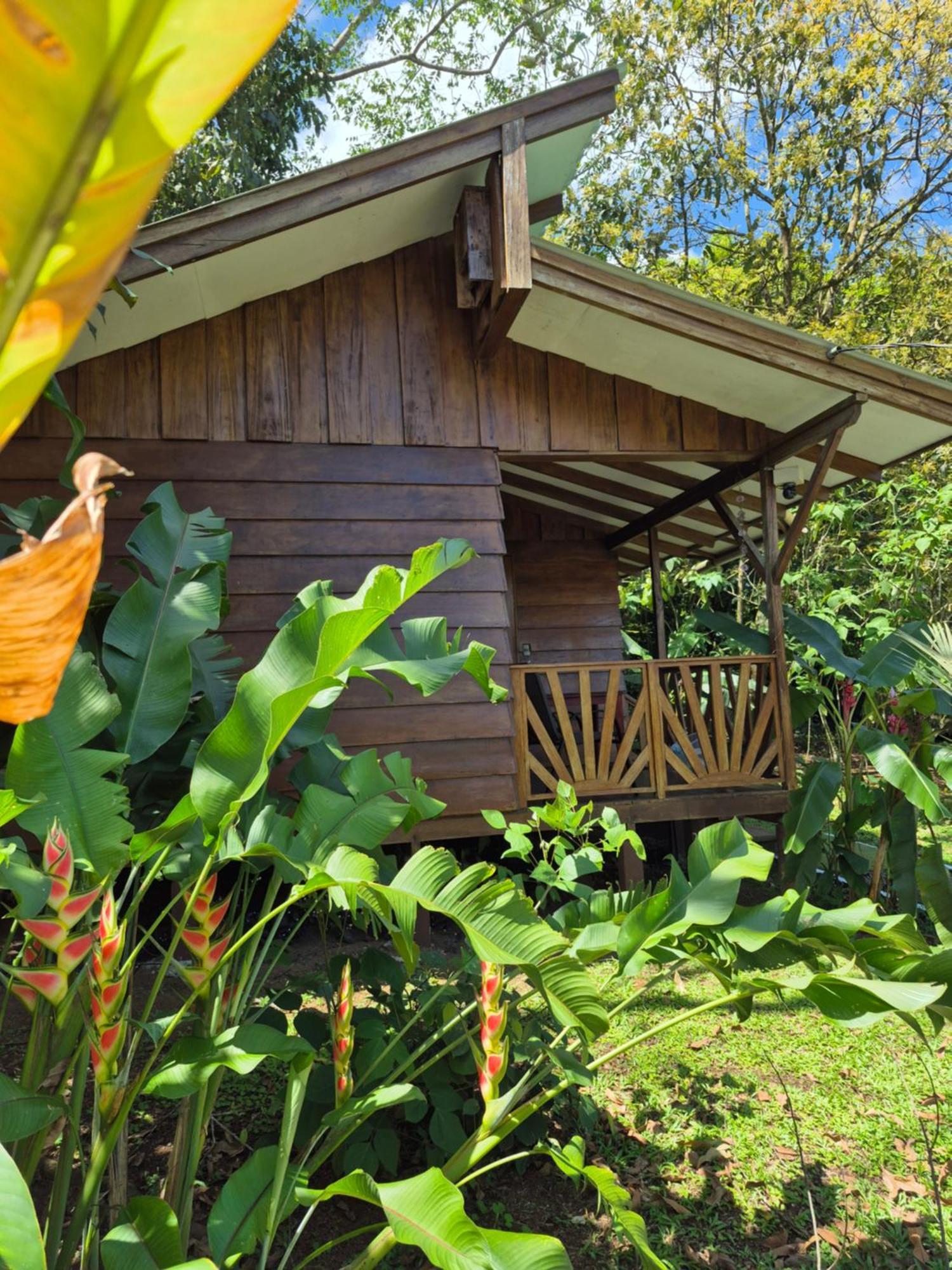 Centro Ananda Bed & Breakfast Guapiles Exterior photo